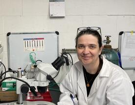 Проф. Катрина